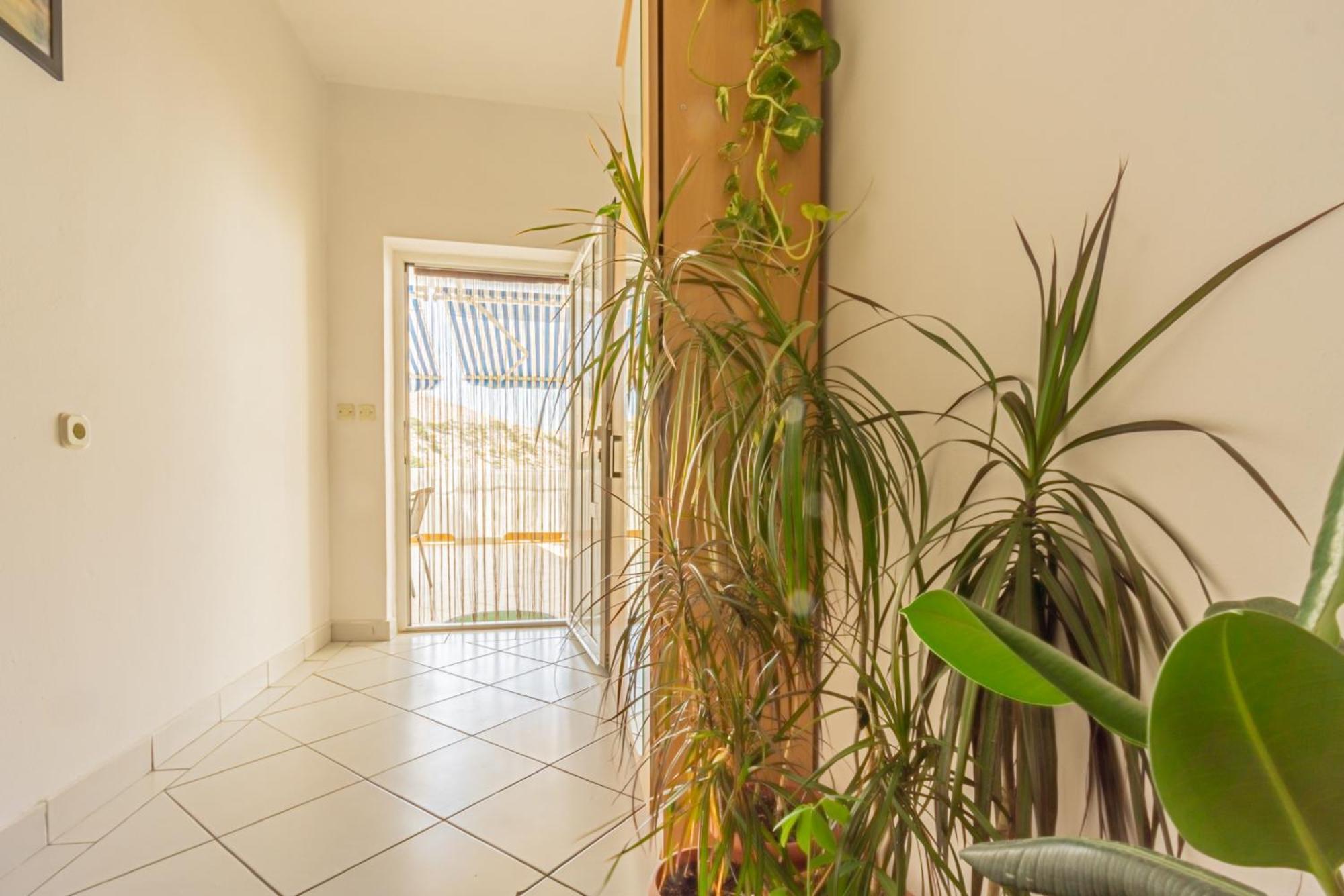 Apartmán Magdalena With Mountain And Seaview Metajna Pokoj fotografie